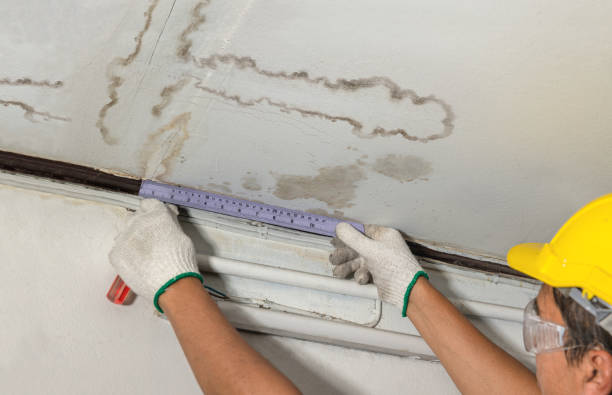 Reliable Sewage Cleanup contractor in Hanover, MA by Water Damage Irwin